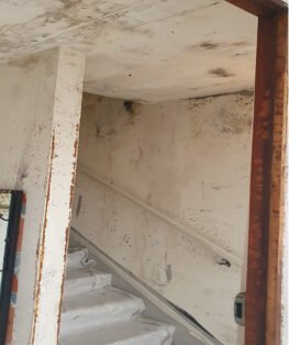 {{brizy_dc_image_alt imageSrc=